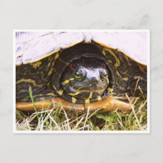 Rood opgerold schuifschroef briefkaart