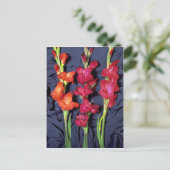Rood, oranje en sjaal gladiolus briefkaart (Staand voorkant)