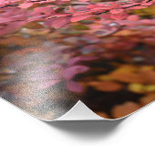 Rood Oranje Herfst najaar Natuur foto Foto Afdruk (Hoek)