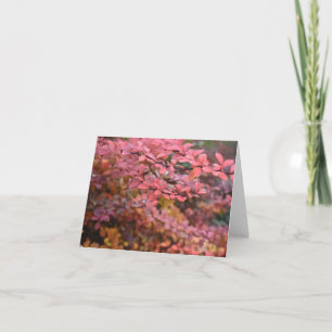 Rood Oranje Herfst najaar Natuur foto Kaart
