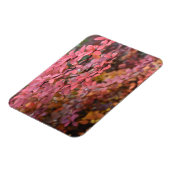 Rood Oranje Herfst najaar Natuur foto Magneet (Linkerzijde)