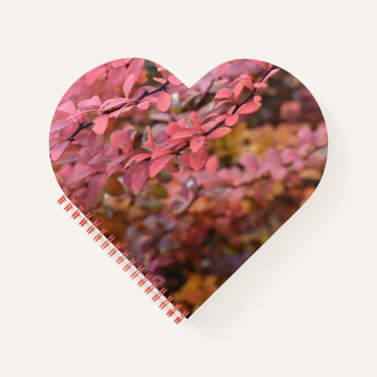 Rood Oranje Herfst najaar Natuur foto Notitieboek (Voorkant)