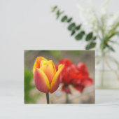 Rood-Oranje Tulpen Briefkaart (Staand voorkant)
