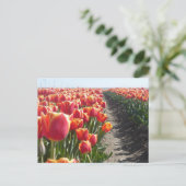 Rood Oranje Tulps DIY Briefkaart (Staand voorkant)