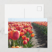 Rood Oranje Tulps DIY Briefkaart (Voorkant / Achterkant)