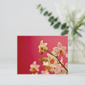 Rood Orchid Briefkaart (Staand voorkant)