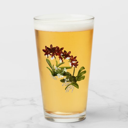 rood orchideeglas glas (Voorkant gevuld)