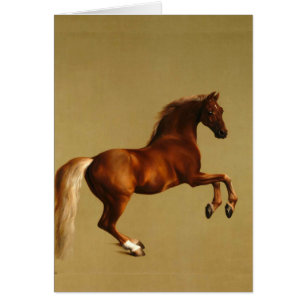 ROOD PAARD