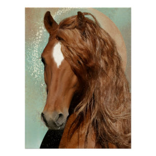 Rood paard - Poster