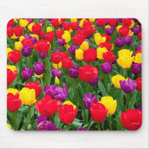 Rood, paars, gele tulpenmousepad muismat