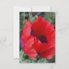 Rood & Paarse Opiumpapaver Notitiekaartje