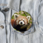 rood-panda-004 ronde button 4,0 cm (In situ)