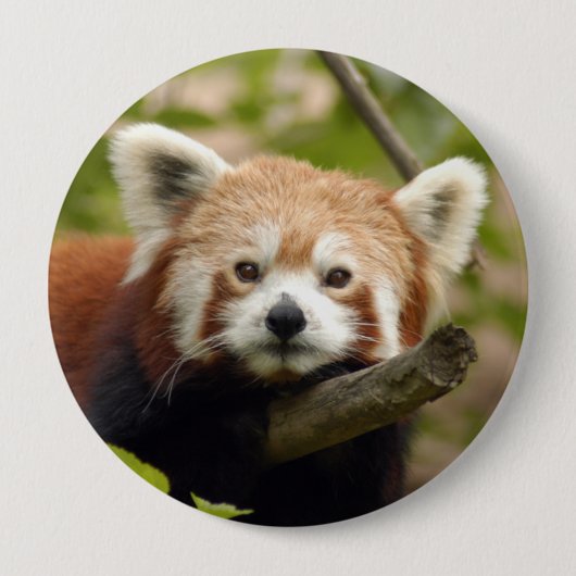 rood-panda-004 ronde button 4,0 cm (Voorkant)
