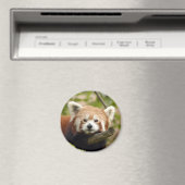 rood-panda-005 magneet (Insitu (Vaatwasser))