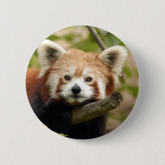 rood-panda-007 ronde button 5,7 cm (Voorkant)
