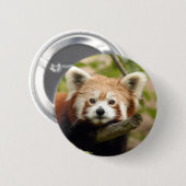 rood-panda-007 ronde button 5,7 cm (Voorkant /achterkant)
