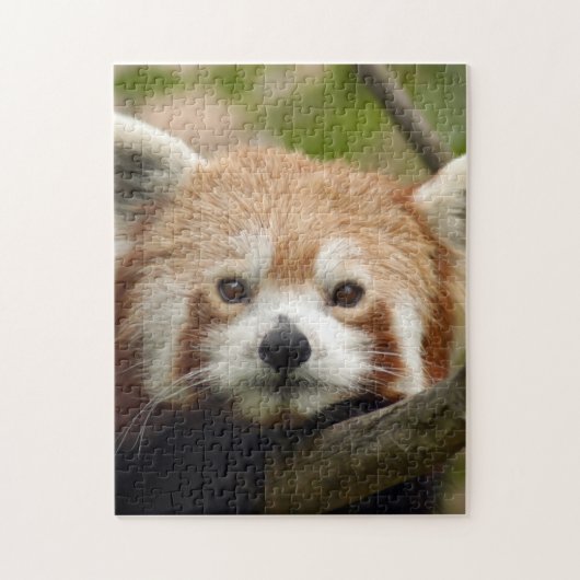 rood-panda-010 legpuzzel (Verticaal)