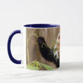 rood-panda-026 mok (Links)