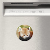 rood-panda-030 magneet (Insitu (Vaatwasser))