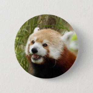 rood-panda-033 ronde button 5,7 cm