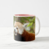 rood-panda-033 tweekleurige koffiemok (Voorkant rechts)