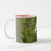 rood-panda-033 tweekleurige koffiemok (Links)