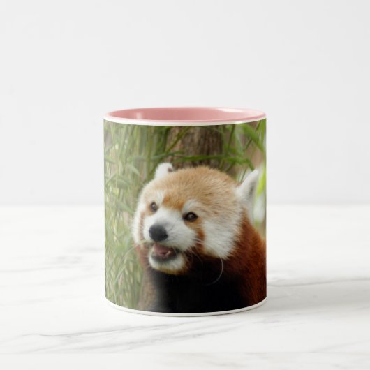 rood-panda-033 tweekleurige koffiemok (Center)