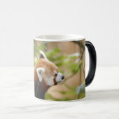 rood-panda-035 magische mok (Voorkant rechts)