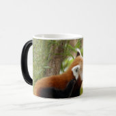 rood-panda-035 magische mok (Voorkant links)