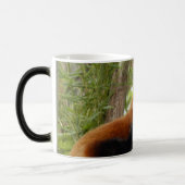 rood-panda-035 magische mok (Links)