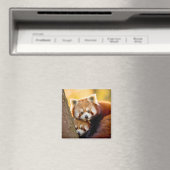 Rood Panda Dier Wild Beauty Freedom Wilderness Magneet (Insitu (Vaatwasser))