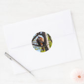 Rood Panda klimt naar beneden Ronde Sticker (Envelop)