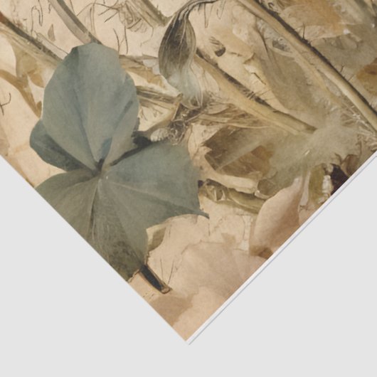  rood papaver & vlinder botanische decoupage tissuepapier (Detail)