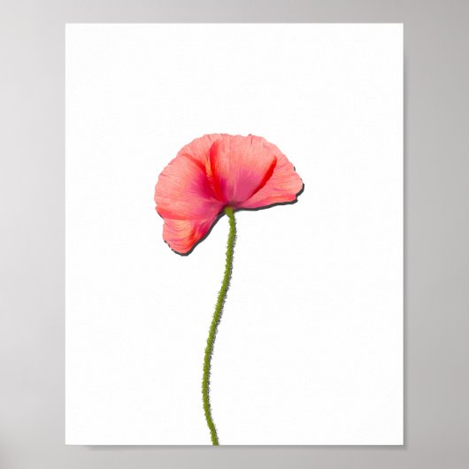 Rood papaverbloem minimalistische eenvoud poster (Voorkant)