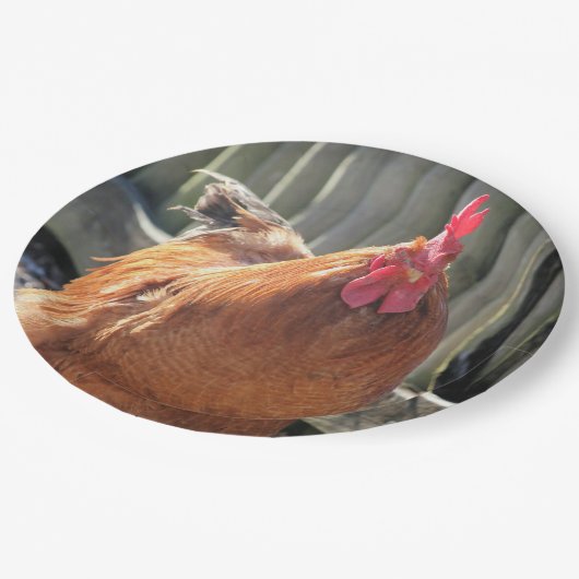 Rood Papieren Bordje (Gekanteld)