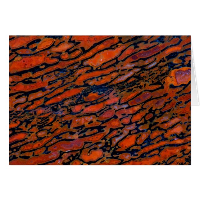 Rood Petrified dinosaur bone (Voorkant Horizontaal)