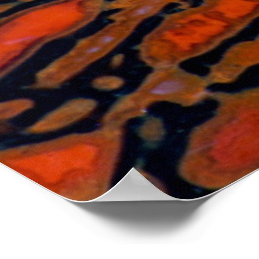 Rood Petrified dinosaur bone Poster (Hoek)