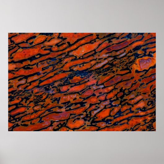 Rood Petrified dinosaur bone Poster (Voorkant)