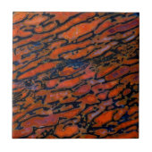 Rood Petrified dinosaur bone Tegeltje (Voorkant)