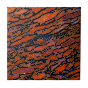 Rood Petrified dinosaur bone Tegeltje