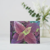 Rood Plant Briefkaart (Staand voorkant)