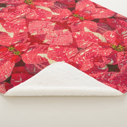 Rood plant Poinsettia Flower Sherpa Deken (3/4)