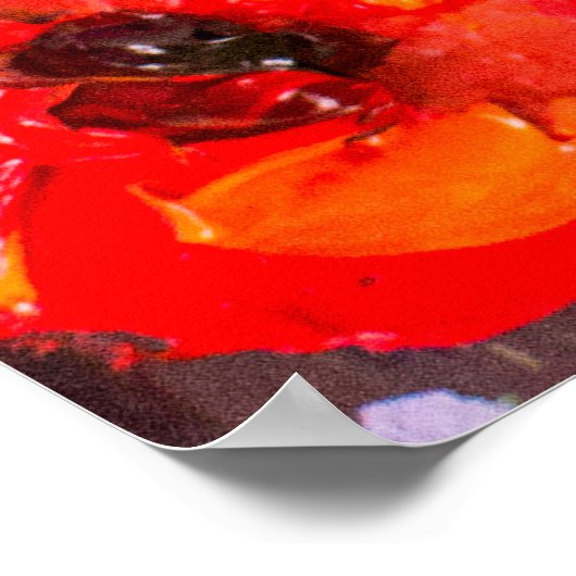 Rood Poppies veld Abstract schilderij Poster (Hoek)