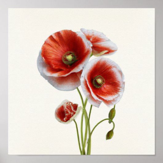 Rood Poppy Flowers Art Print Poster (Voorkant)