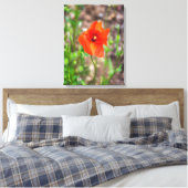 Rood poppy up close canvas print (Insitu (Slaapkamer))
