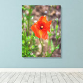 Rood poppy up close canvas print (Insitu (Houten vloer))