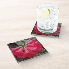 Rood Rhododendron Blooms Floral Glass Onderzetter