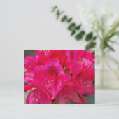 Rood Rhododendron Briefkaart (Staand voorkant)