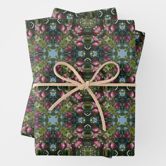 Rood rijpe appels op boomkaleidoscoop inpakpapier vel (In situ)