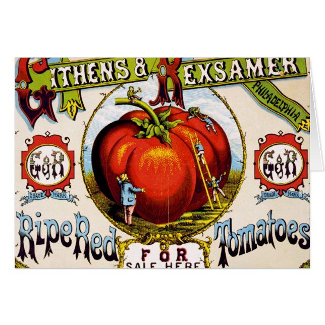 Rood rijpe tomaten voor verkoop - Vintage AD (Voorkant Horizontaal)